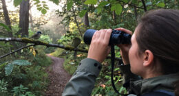 15 Best Binoculars for Bird Watching in 2026
